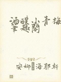 酒酿小青梅po笔趣阁