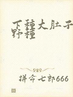 下种大肚子怀孕野种