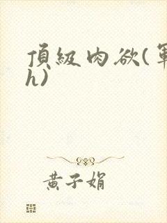 顶级肉欲(军高h)