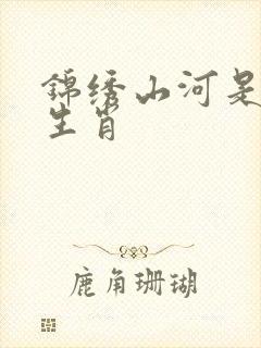 锦绣山河是什么生肖