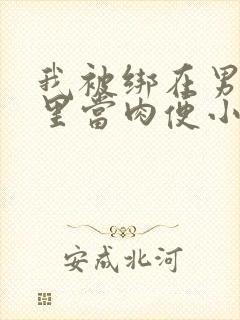 我被绑在男公厕里当肉便小说