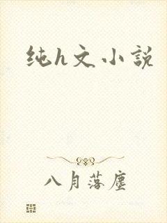 纯h文小说