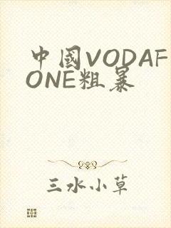 中国VODAFONE粗暴