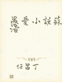 愚爱小说苏倩孙浩