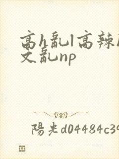 高h乱l高辣h文乱np