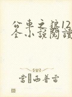 公车之狼12集全小说阅读