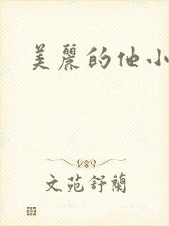 美丽的他小说