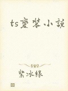 ts变装小说