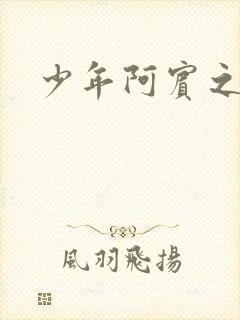 少年阿宾之学姐