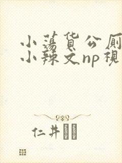 小荡货公厕h文小辣文np视频