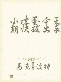 小坏蛋今天危险期快拔出来