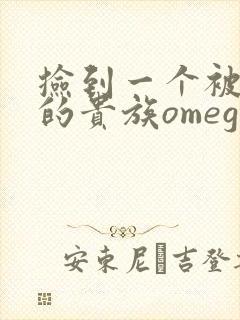 捡到一个被抹布的贵族omega