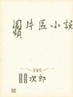 图片区小说区视频