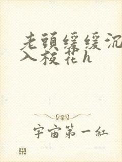 老头缓缓沉腰进入校花h