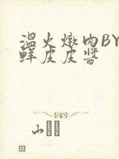 温火炖肉BY海鲜皮皮酱