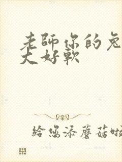 老师你的兔子好大好软