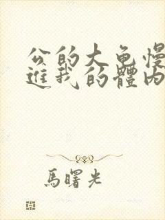 公的大龟慢慢挺进我的体内