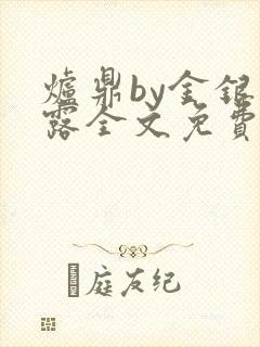 炉鼎by金银花露全文免费阅读笔趣阁