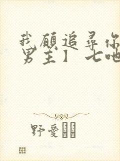 我愿追寻你【双男主】 七吔