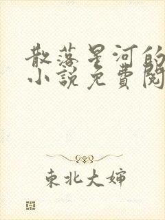 散落星河的记忆小说免费阅读全文