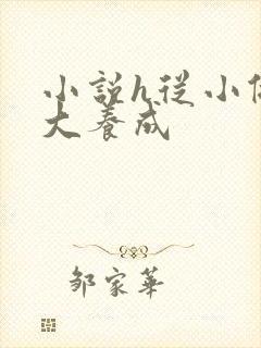 小说h从小做到大养成