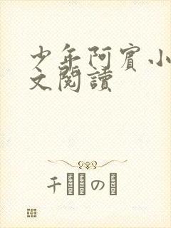 少年阿宾小说全文阅读