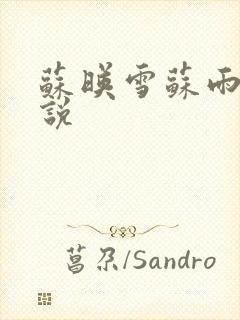 苏映雪苏雨柔小说