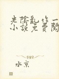 光阴乱作一团的小说免费阅读