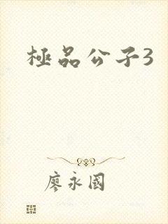 极品公子3
