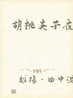 胡桃夹子夜未眠