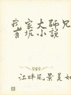 我家大师兄脑子有坑小说