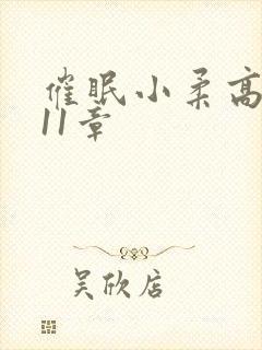 催眠小柔高达第11章