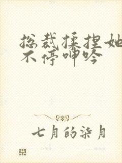 总裁揉捏她两乳不停呻吟