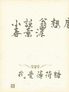 小说 翁想房中春意浓