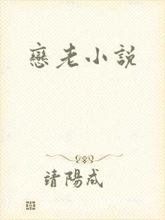 恋老小说