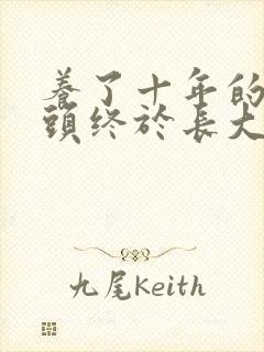 养了十年的小丫头终于长大了