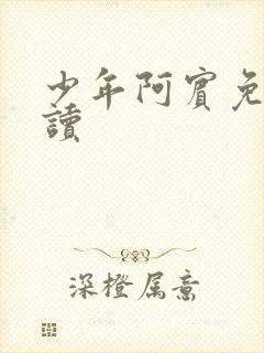 少年阿宾免费阅读