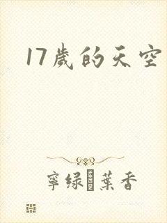 17岁的天空