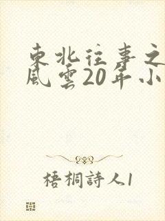 东北往事之黑道风云20年小说