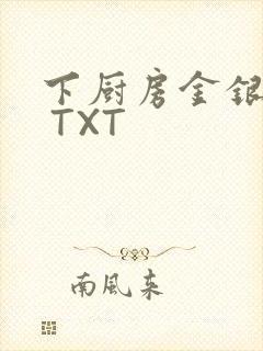 下厨房金银花露 TXT