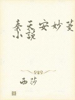 秦天安妙菱修仙小说