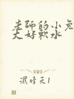 老师的小兔子好大好软水