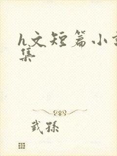 h文短篇小说合集