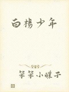 白杨少年