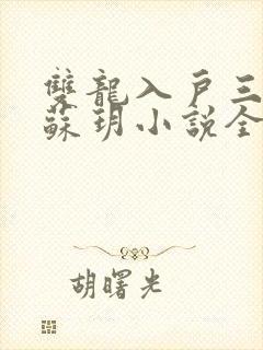 双龙入户三人行苏玥小说全文阅读
