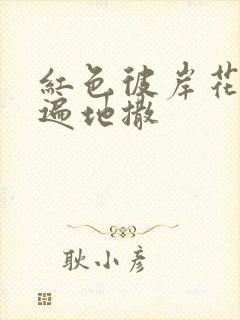 红色彼岸花花瓣遍地撒