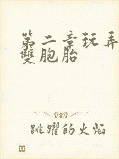 第二章玩弄少妇双胞胎