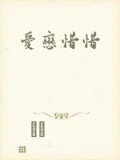 爱恋惜惜