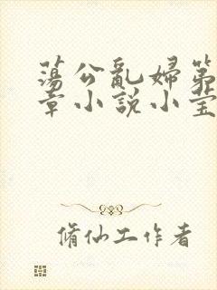 荡公乱妇第51章小说小莹