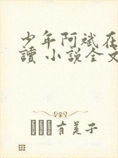 少年阿斌在线阅读 小说全文免费